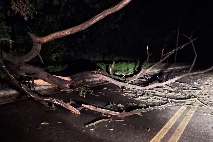 Obstrucción en Vicente Casares, avenida de acceso a la Autopista.