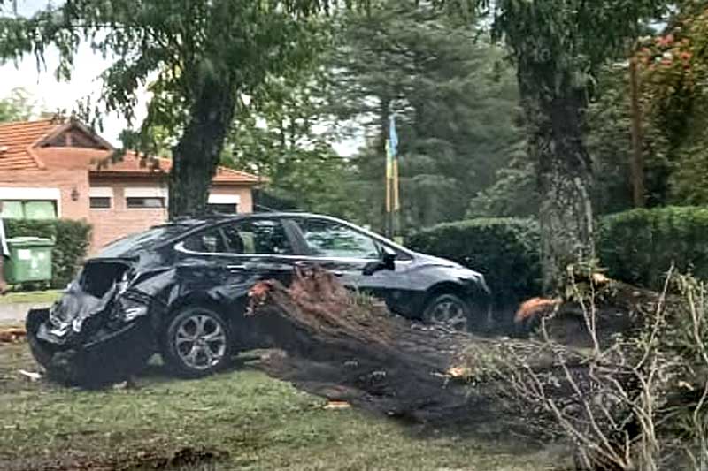Auto dañado por un árbol en el sector del golf de La Martona.