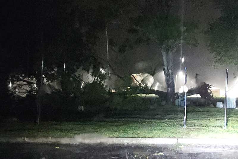 Árbol arrancado en la planta urbana de Vicente Casares.