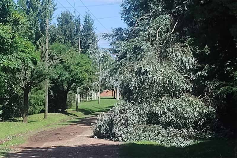 Las calles de Villa Adriana.