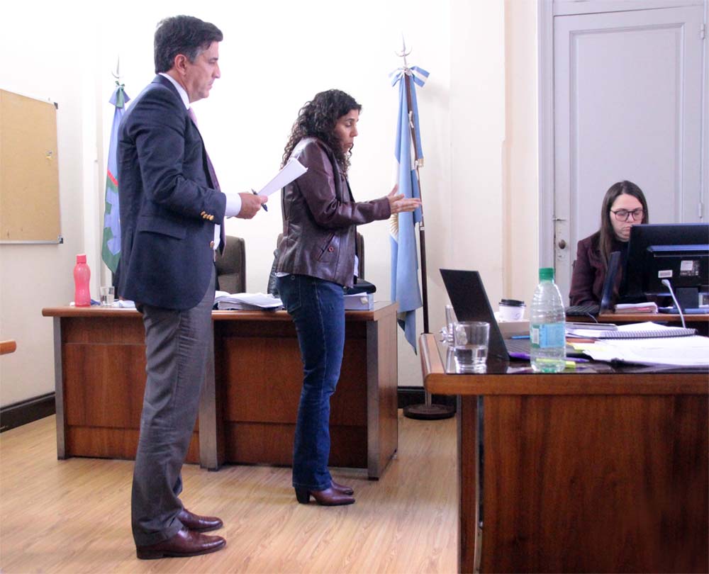 El Dr. Drago y la fiscal Huergo durante el testimonio de la perito Iriart, mediante plataforma virtual.