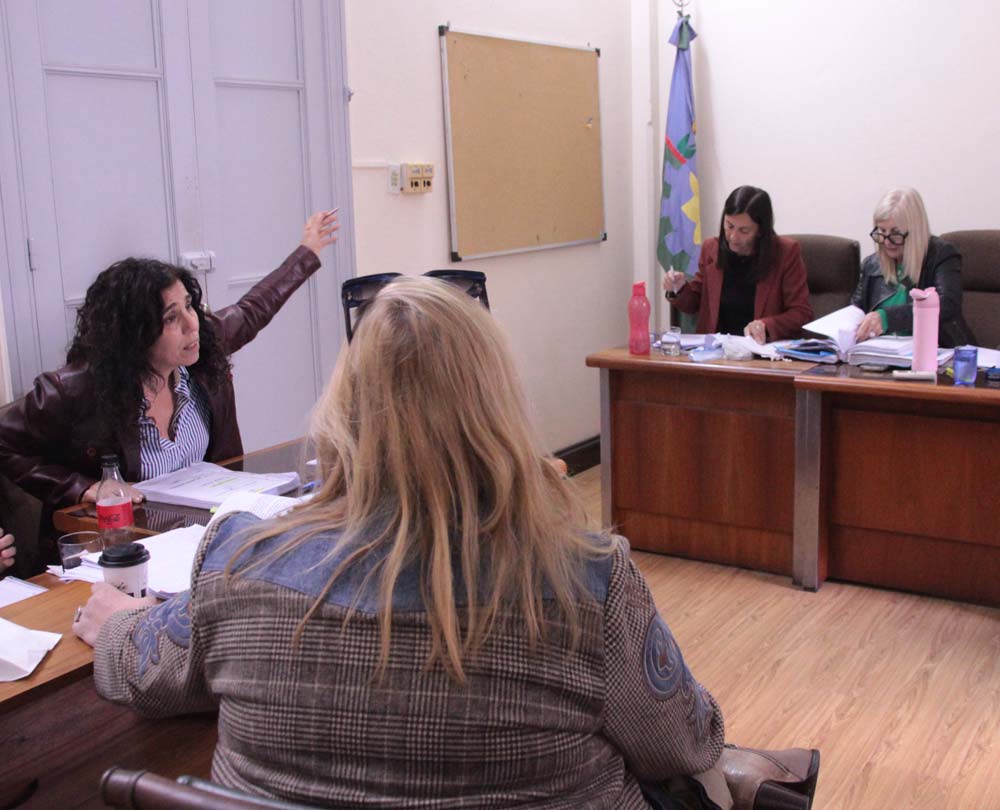 La fiscal Huergo, en pleno debate.