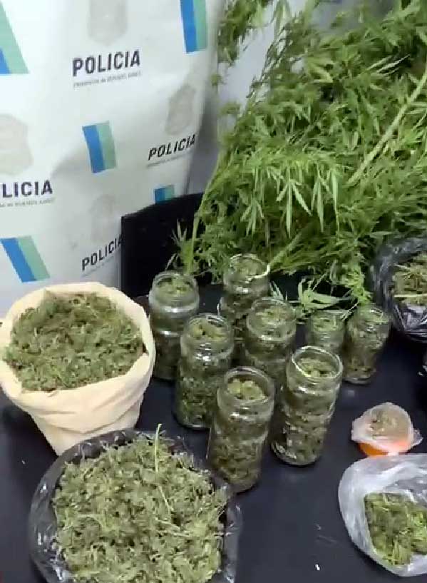 Drogas incautadas en la misma finca.